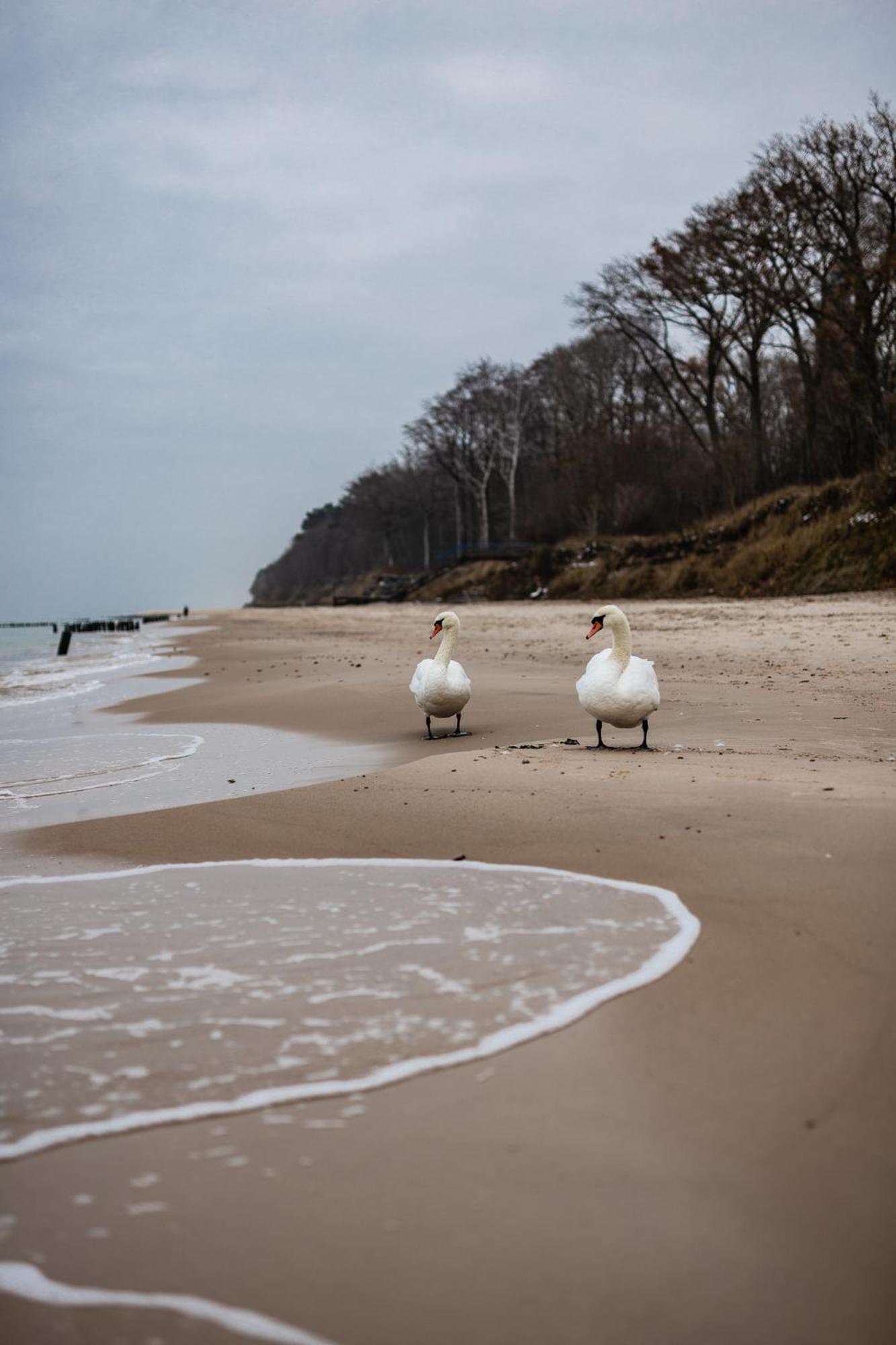 Let's Sea - 4 Person - Premium Baltic With Sea View Apartment *