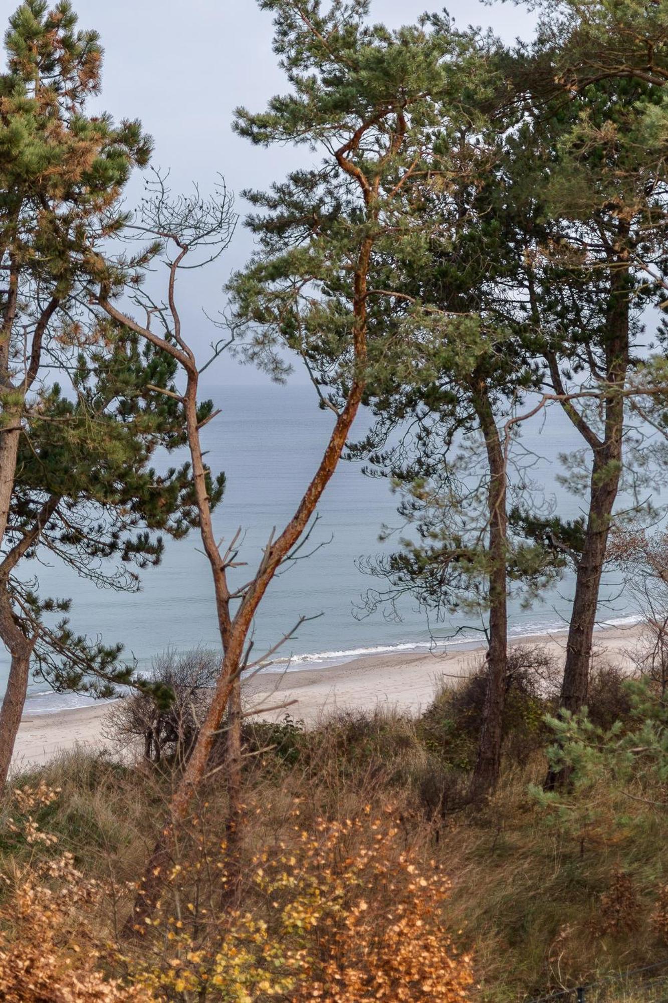 Let's Sea - 4 Person - Premium Baltic With Sea View * Gaski (Koszalin)